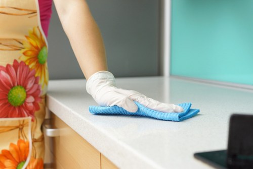 Professional carpet cleaners introducing local N19 services