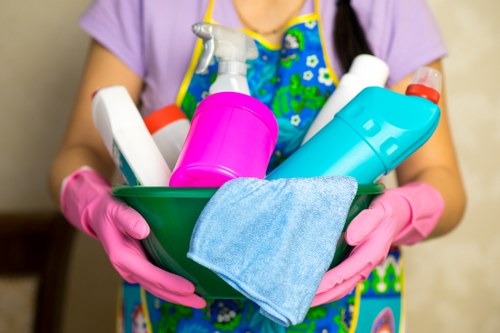 Professional house cleaning in a N19 home living room