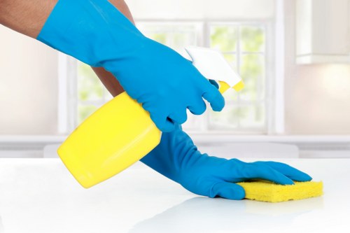 Deep cleaning process for hard floors in an N19 property