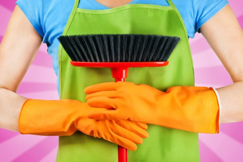 Window cleaning services in N19 with polished glass and frames