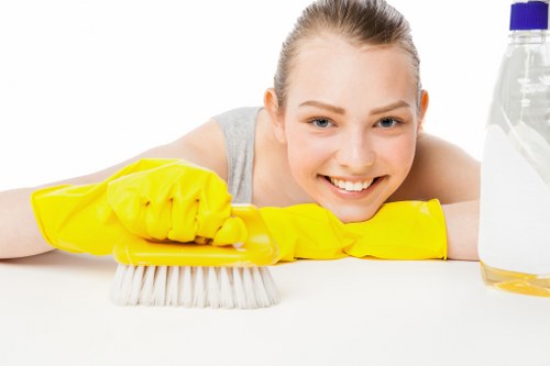 Professional cleaner in N19 working in a tidy home interior