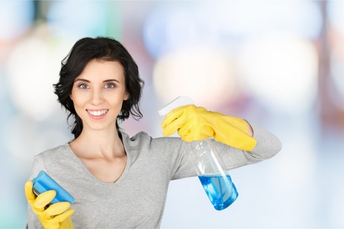 Deep carpet cleaning for homes and offices