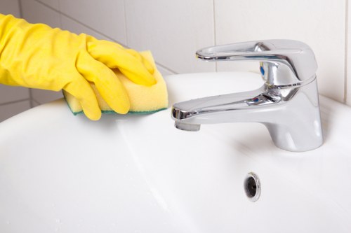 Regular window cleaning in N19 for homes and businesses