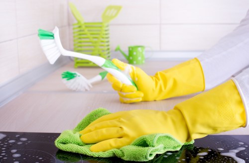 Essential cookies section for Carpet Cleaners N19