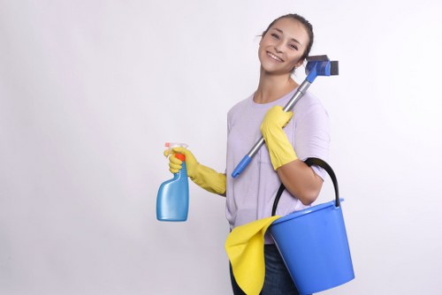 Technician treating sofa fabric during upholstery cleaning in N19