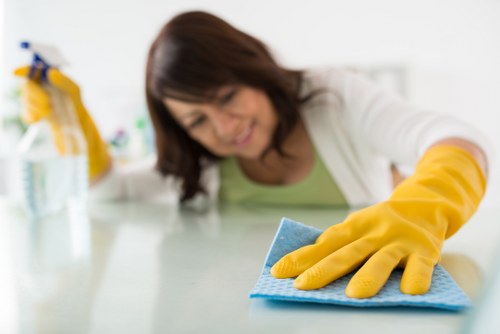 Deep cleaning specialist in N19 handling a spotless property
