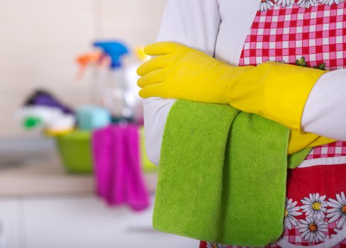 Domestic cleaning equipment used by home cleaners in N19