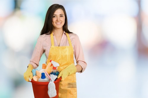 Cleaning team providing domestic cleaning services in N19