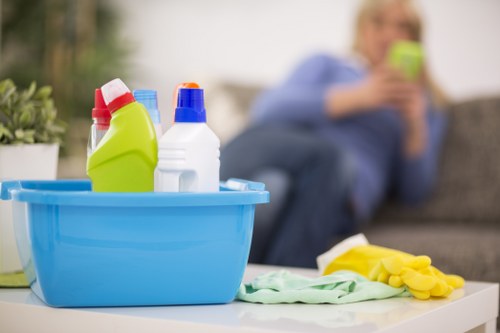 Professional carpet cleaning in N19 removing stains