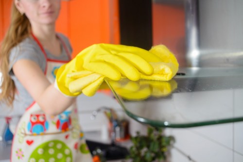 Kitchen oven maintenance and cleaning service in N19