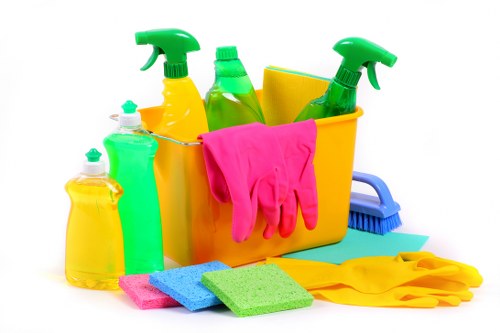 User control over cookie settings on Carpet Cleaners N19