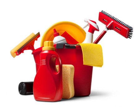 Transparent pricing discussion for a carpet cleaning service